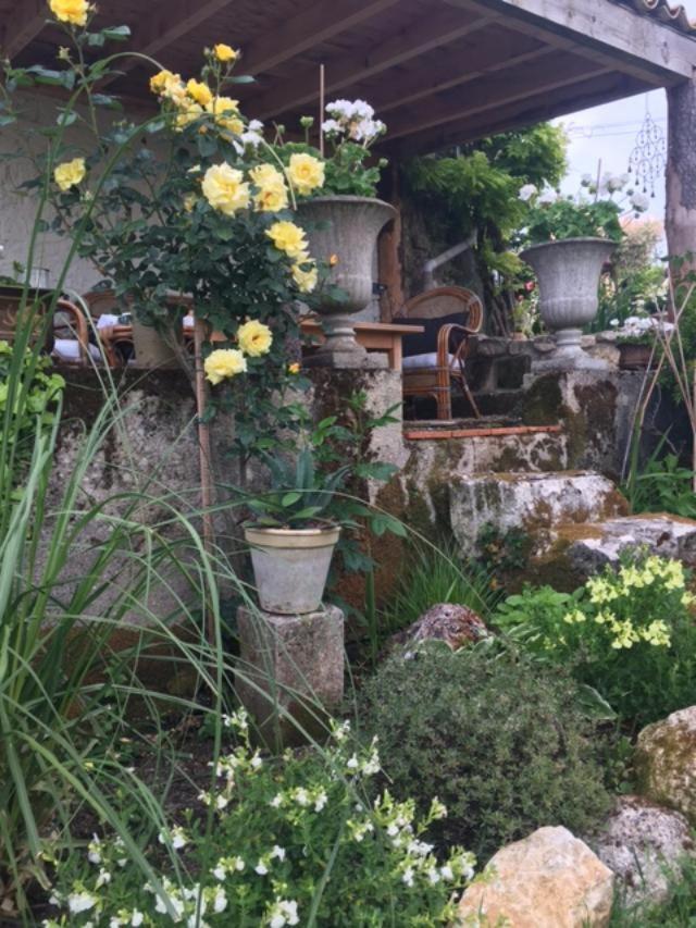 Chez Brown Bed & Breakfast Saint-Thomas-de-Cônac Exterior foto
